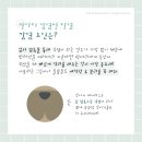 더클래스동물메디컬센터 이미지