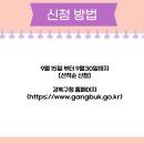 놀러오개 미용센터 | 강북구 반려동물 축제 펫크닉에 놀러오개 참가자 모집