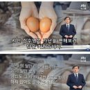 인제양계 이미지