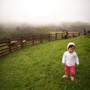 은호목장 이미지