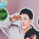 팀승전보 | 250523 세븐틴 잠수교 B-DAY PARTY 스탬프투어 : 종이 쪼가리 하나 받겠다고 반차쓰고 4시간 대기탄 셉미새