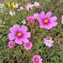 나드리목장 이미지