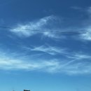 무봉리 토종 순대국 후포2호점 이미지