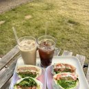 도그와트 이미지