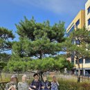 아델라실버케어, 경기도 요양원에서 누리는 특별한 혜택