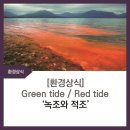 에닌주식회사 이미지