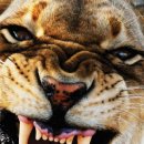 서동아서점 이미지