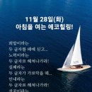 11월 28일(화)아침을 여는 건강한 에코힐링 코너 (글 전체보기는 글주소 클릭!) 이미지