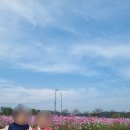 순수어린이집 이미지