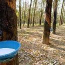 타이어세상 이미지