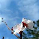 악성 미분양 최다, 대구 부동산 시장 현황은? 이미지