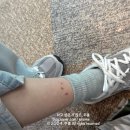 10월 둘째 주: 우당탕탕 정신없는 이사 주간