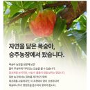 승주농장 네이버블로그