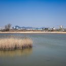 수남공원 네이버블로그