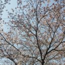 덕산성당 앞 이미지