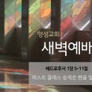 영성일기 2024.11.22.(금)새벽기도회(찬송)337장 내모든시험무거운짐을(성경)벧후1:5-11퍼스트크래스 승객은 펜을빌리지않습니다 이미지