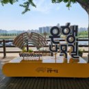 은행나무길카센터 | ​4월의 아산 여행: 곡교천 은행나무길 실시간 풍경과 방문 후기