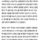 제이다 이미지