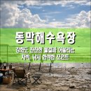 지에스25 강화동막점 | 동막해수욕장, 강화도 인천 강화군 잔잔한 물결과 어울리는 차박, 낚시 한적한 포인트