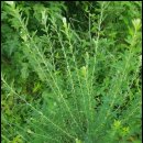 대수풀농장 이미지