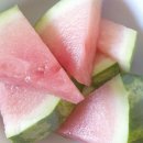 진 소프트 이미지