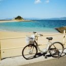 시월이네 이미지