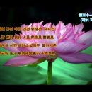 금강경강의 제 84회 제31 지견불생분-知見不生分*금강경 상식풀이 이미지