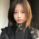 이젤헤어 이미지