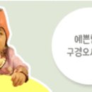 쁘띠꼬숑 이미지