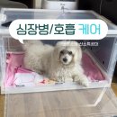 산소방