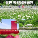 은계숲생태공원 화장실 | 함안 악양생태공원 샤스타 데이지 실시간 개화 상황 및 위치