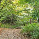 뜬봉샘농장 이미지