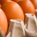 논산시청 이미지