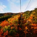 가을여행 이미지