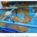 대림수산 이미지