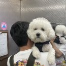 호병골산아래 이미지