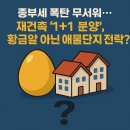 황금알 이미지