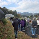 점리농장 이미지