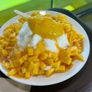 까페 오뚜기 | 안면도 바다카페 | 카페 오뚜기 – 가성비 생망고 빙수 내돈내산 후기