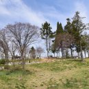 온주맛고을 이미지