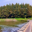 광주 천변길1 이미지