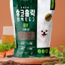 강아지홀릭 이미지