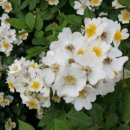 로그밸리 이미지