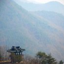 대전광역시인재개발원 네이버블로그