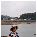 복희 이미지