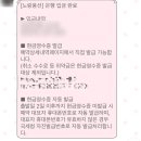 조인미디어 | 이스탄불 여행] 노랑풍선 패키지 가족여행 솔직 후기와 1일차 일정 및 숙소 (싱글차지 및 현지조인 후기)