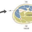 클린짐휘트니스 이미지