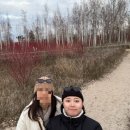 영아일랜드 성인PC방 | [토론토 4일차_0406] 토론토 시청 갔다가 토론토아일랜드에서 힐링하기(feat. 매서운 추위...)