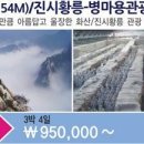 개미여행사