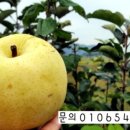 배감농장 이미지